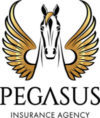 Pegasus Insurance